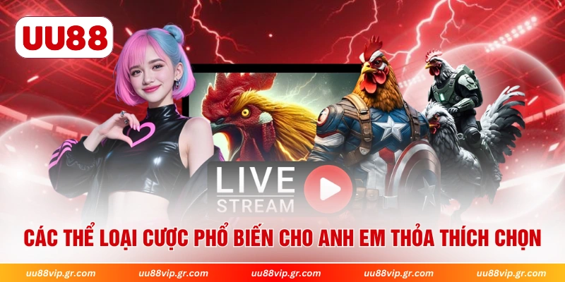 Các thể loại cược phổ biến cho anh em thỏa thích chọn