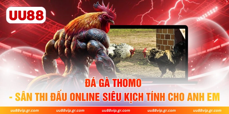 Đá Gà Thomo - Sân Thi Đấu Online Siêu Kịch Tính Cho Anh Em