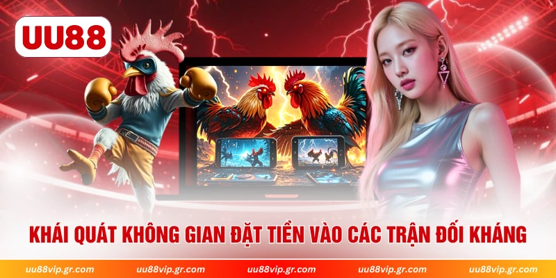 Khái quát không gian đặt tiền vào các trận đối kháng