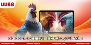 Cách Chơi Đá Gà Online UU88 - Bí Kíp Đặt Cược Luôn Thắng