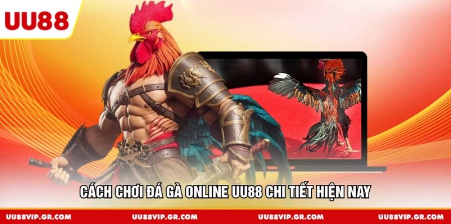 Cách chơi đá gà online UU88 chi tiết hiện nay