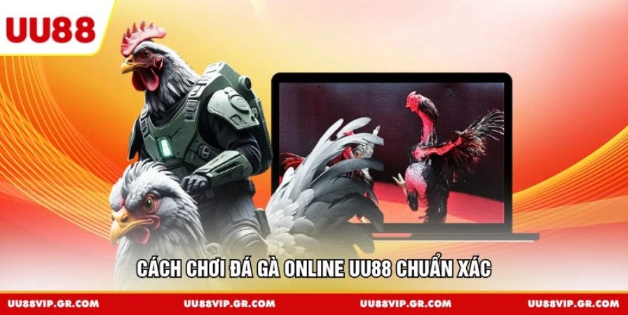 Cách chơi đá gà online UU88 chuẩn xác