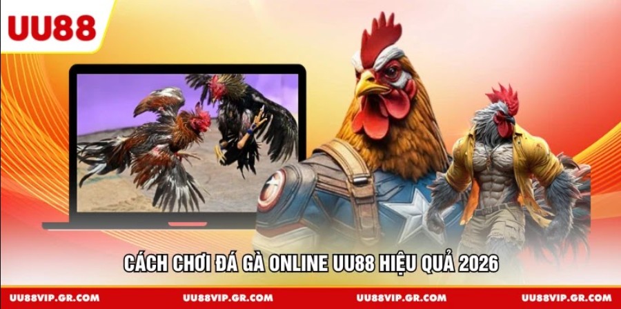 Cách chơi đá gà online UU88 hiệu quả 2026